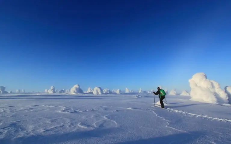 Zwischen bizarr verschneiten Bäumen und endlosem Horizont