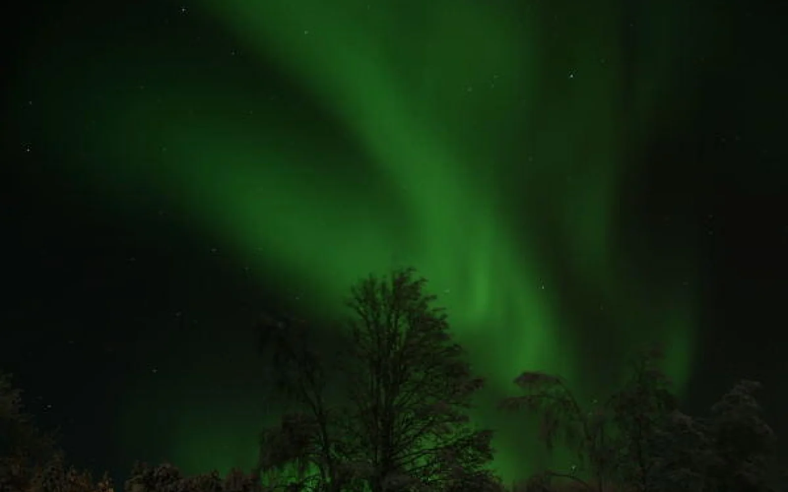 Die Chancen stehen gut, dass Sie Polarlichter zu sehen bekommen