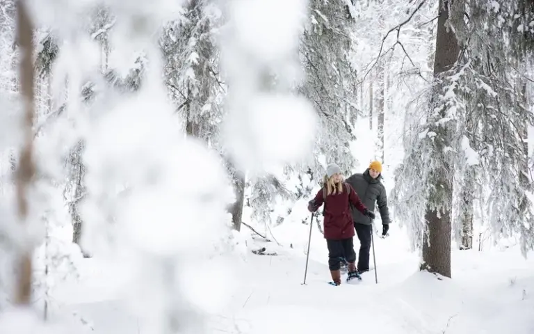 Schneeschuhtour im Koli-Nationalpark