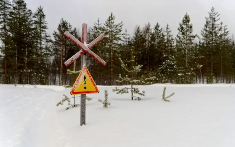 Anreise nach Kajaani – willkommen im weißen Winterwunderland!