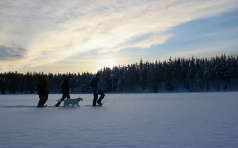 Zweite Schneeschuhwanderung mit Huskys auf verwunschenen Wegen