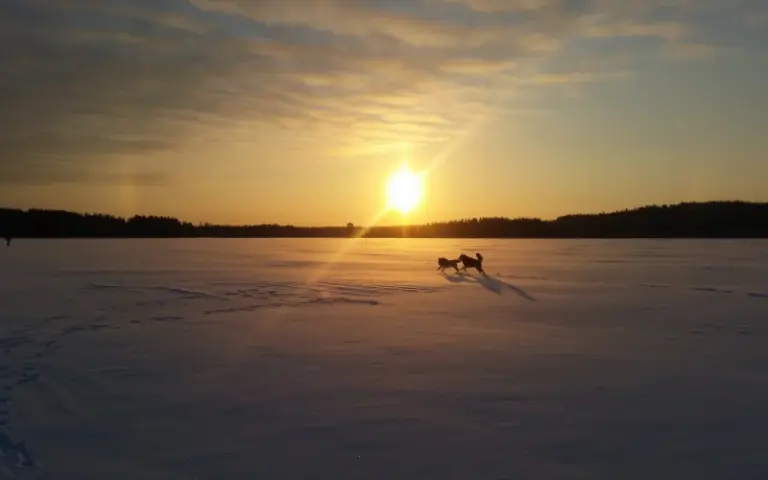 Abschied und Abreise von Kajaani