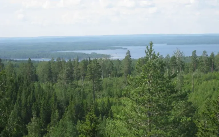 Radtour um den Viemenjärvi-See mit herrlicher Aussicht und Badestopp