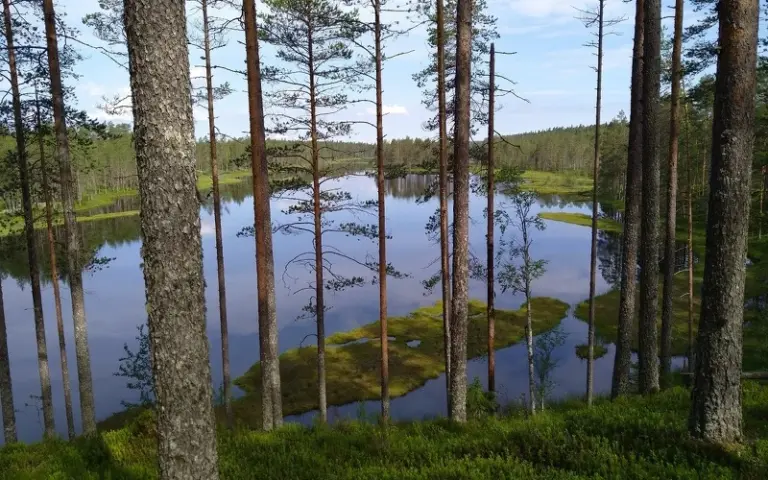 Wanderung im Naturschutzgebiet Raesärkät mit Badepausen