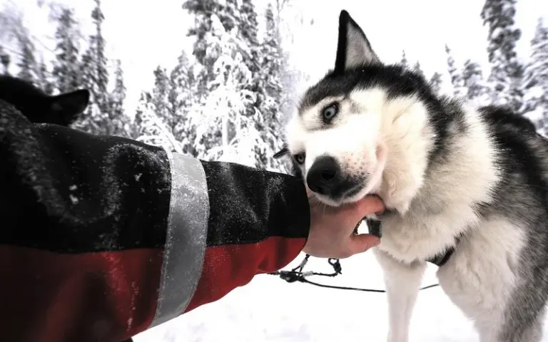 Abreise von Oulu bzw. Kuusamo
