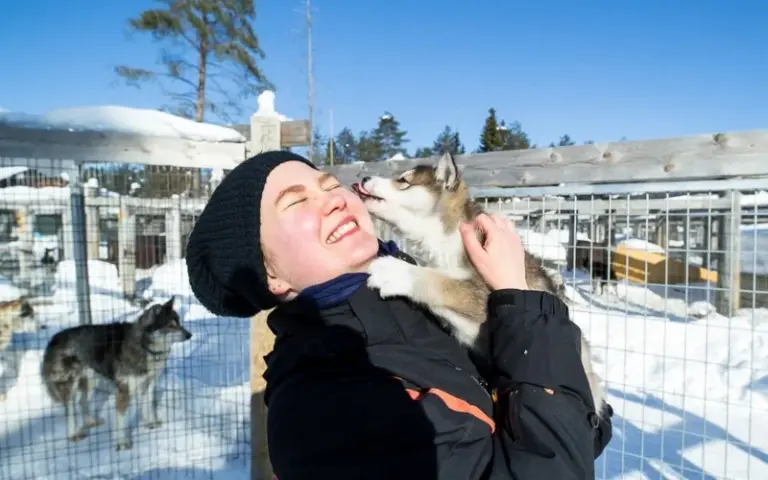 Schnuppertag auf Huskyfarm