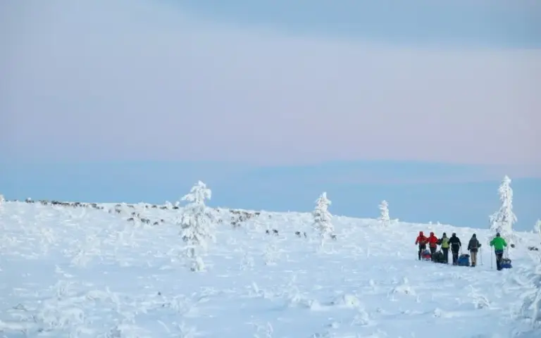 Skiwanderung zurück zur ersten Wildnishütte