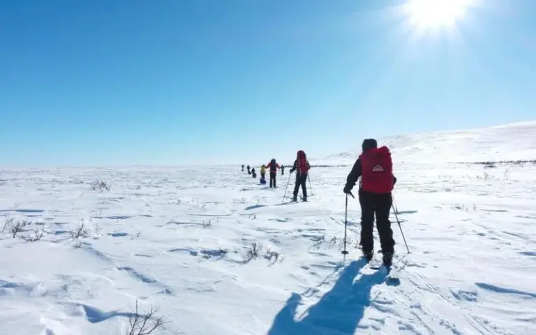 Skiwanderung zur zweiten Wildnishütte mit Mittag unter Bäumen