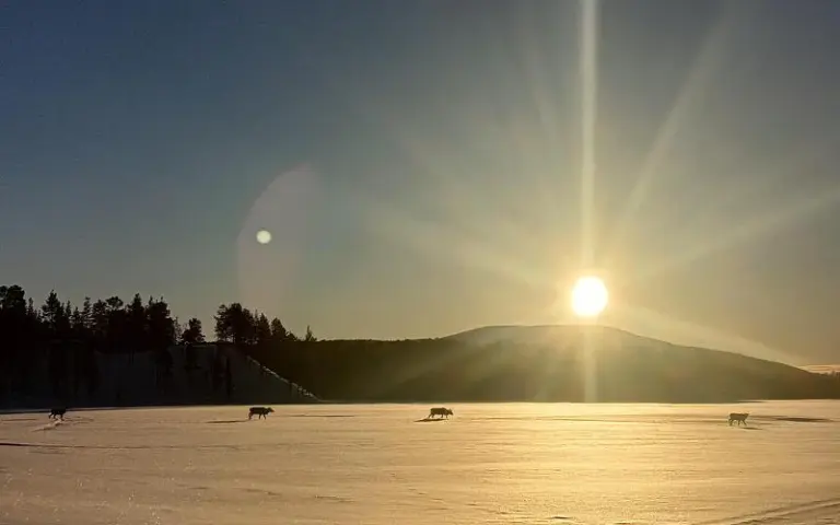 Auf Wiedersehen, Lappland! 