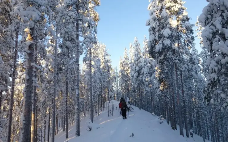 Schneeschuhwanderung zurück zum Ausgangspunkt