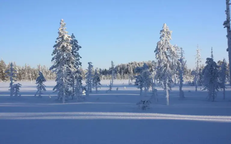 Abreise aus Finnland