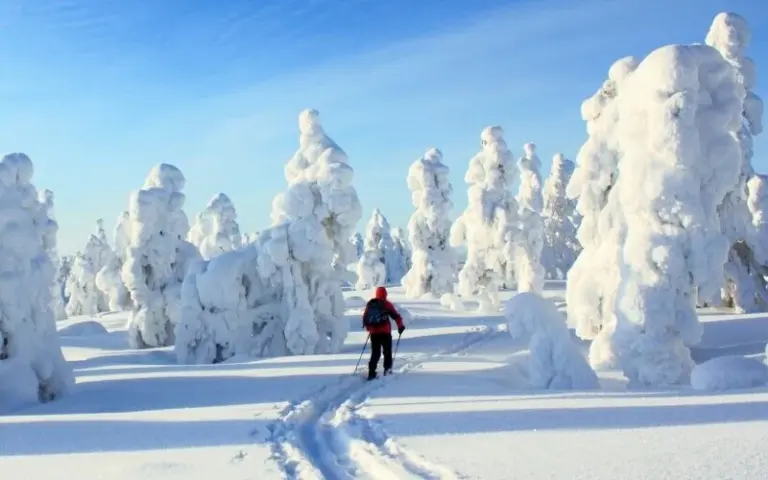 Skiwanderung von Rauhala zur Hütte in Keimiö