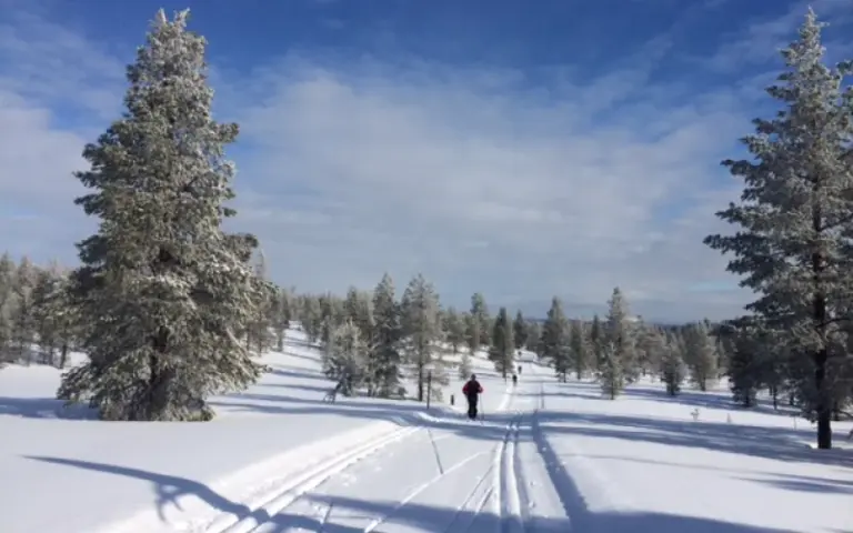 Skitour von Ketomella nach Raattama