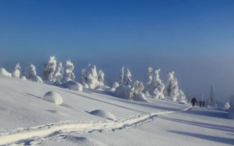 Skitour in die Berge zur Wildnishütte Nammalkuru