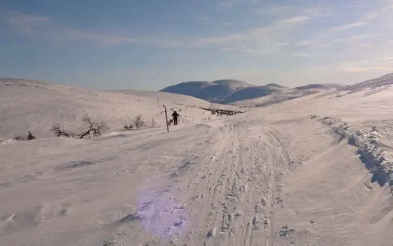 Skitour bis zur Baumgrenze