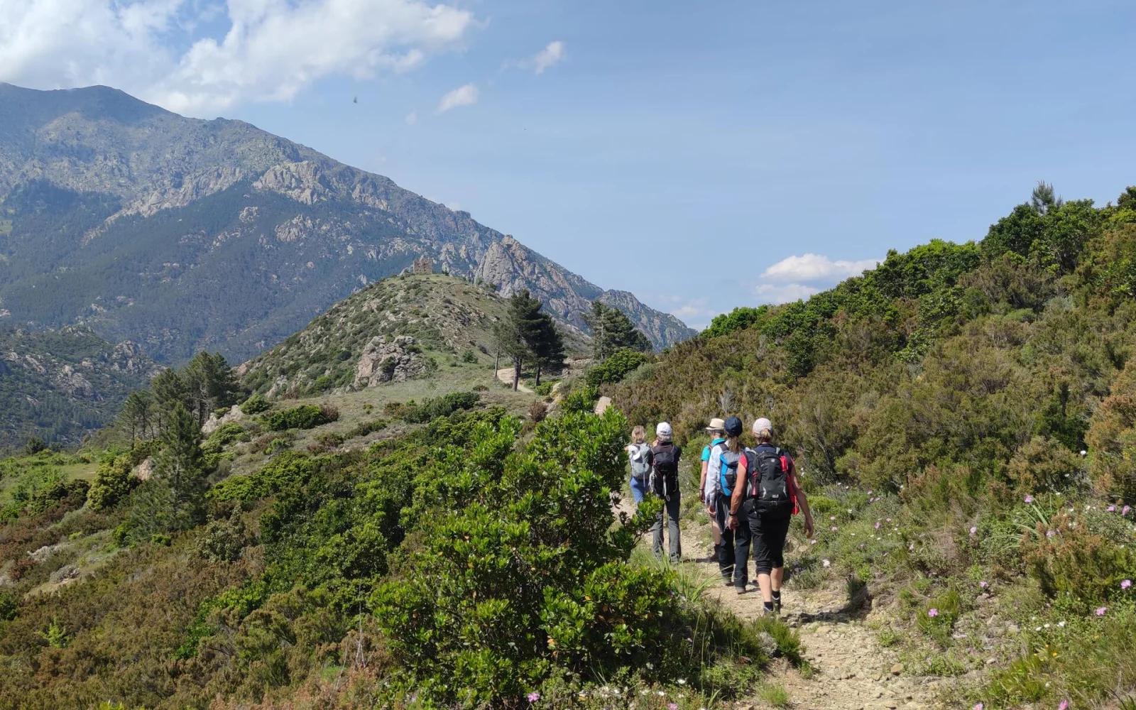 Auf leichten bis mittelschweren Wanderungen erkunden Sie die korsische Bergwelt