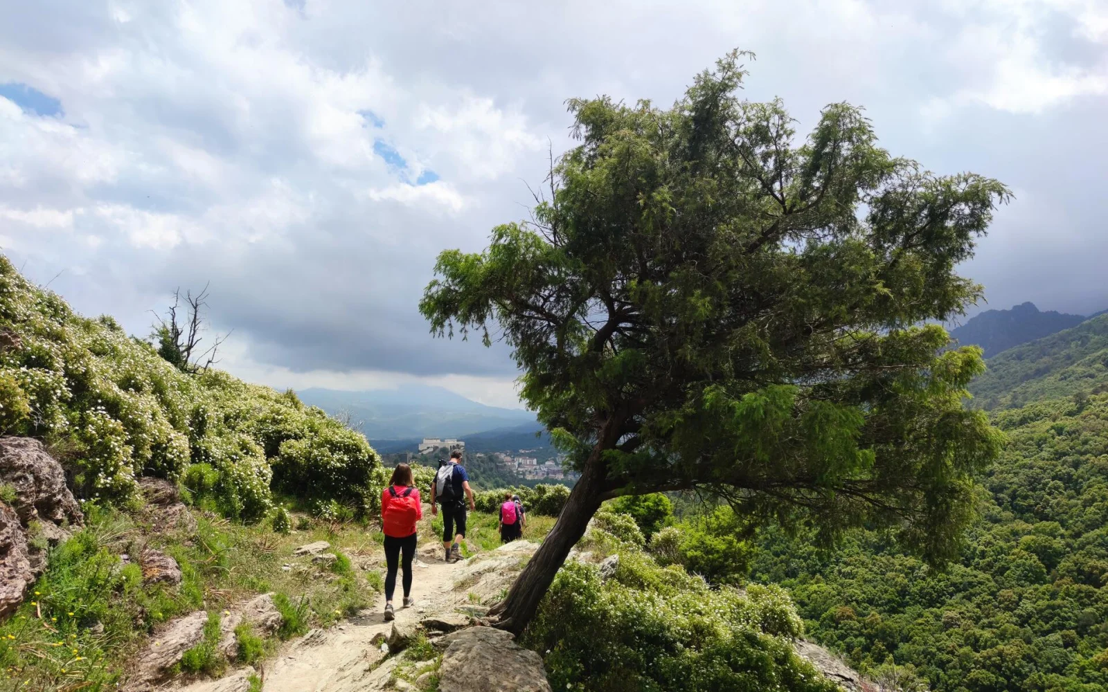 Oberhalb von Corte wandern Sie durchs Tavignano-Tal