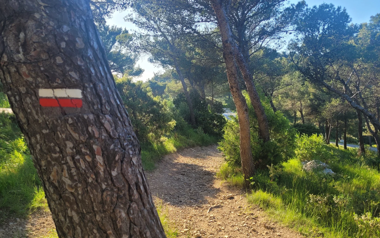 Wandern im Naturpark Alpillen