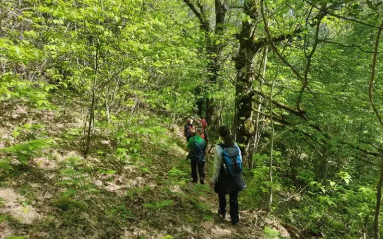 Wanderung von Vizzavona zum lebhaften Bergdorf Vivario