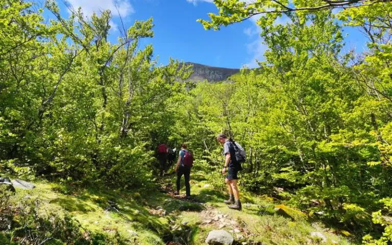 Gipfelwanderung zum Rocher Madonnuccia 