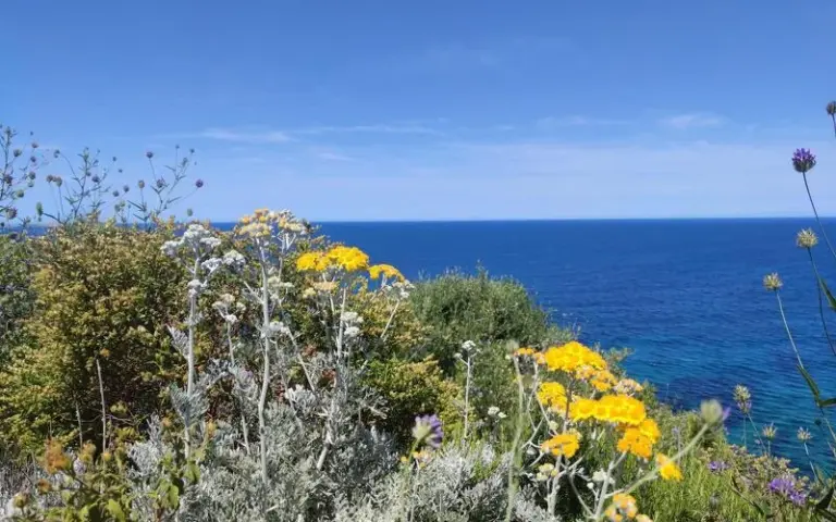 Fahrt zum Flughafen Bastia und Heimreise
