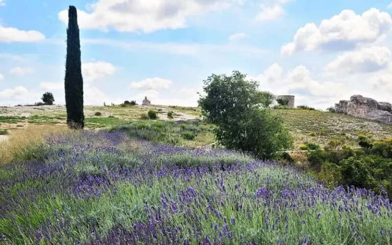 Anreise in die Provence