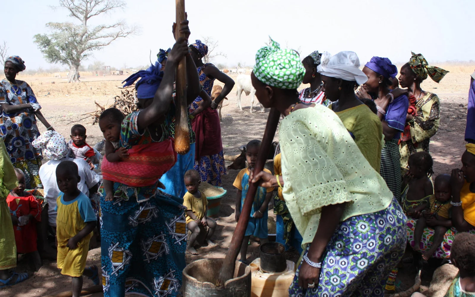 Ein Bild, überall im Senegal anzutreffen: Frauen beim Hirsestampfen