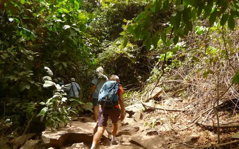 Wanderung zu den Dindefelo-Wasserfällen, Übernachtung im Nationalpark