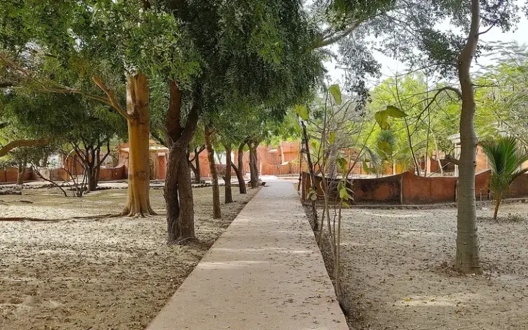 Fahrt ins Sine-Saloum-Delta und Übernachtung in einer Eco-Lodge