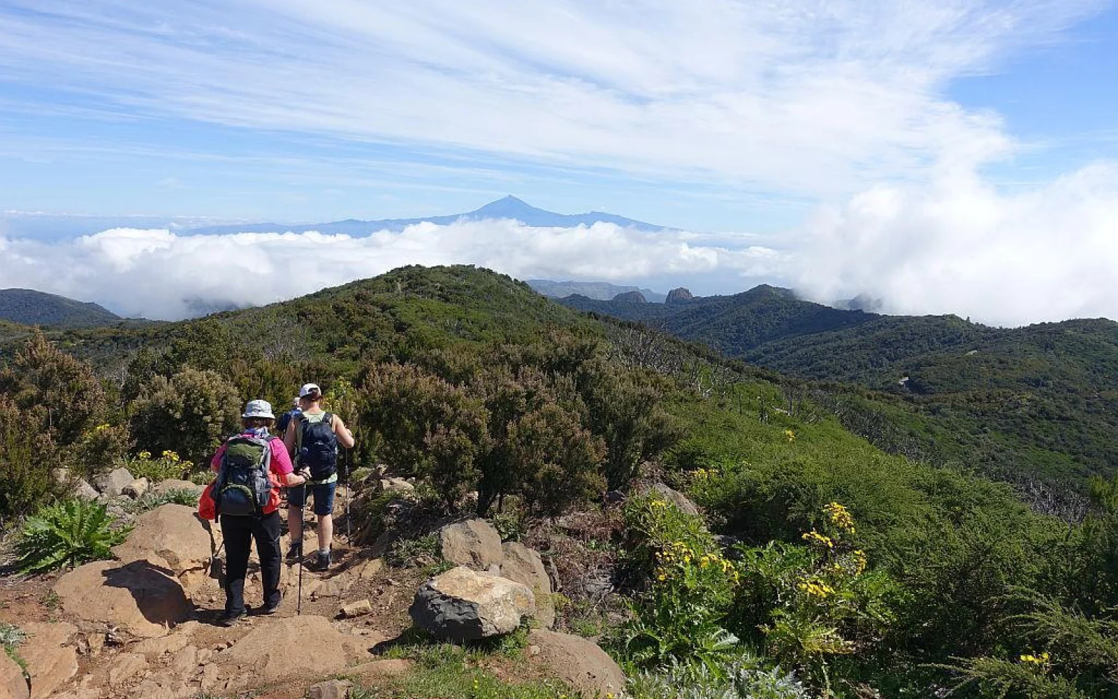 Über dem Wolkenmeer der höchste Berg Spaniens, der Teide. Foto: S. Heitmann