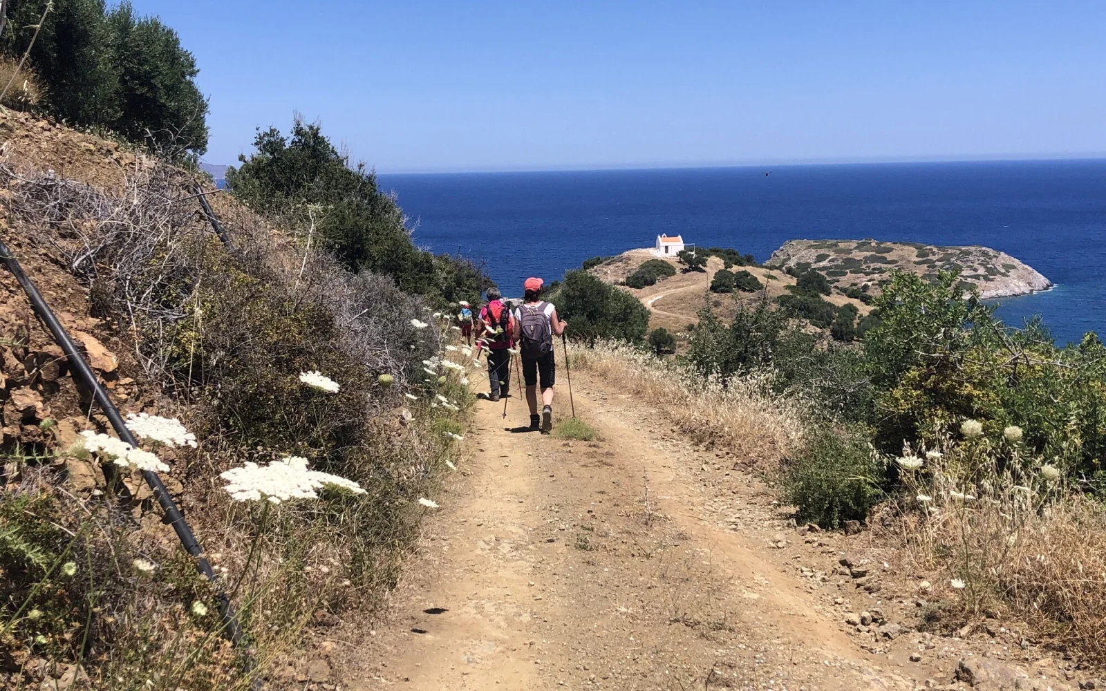 Auf Kräuterwanderung an der Nordküste