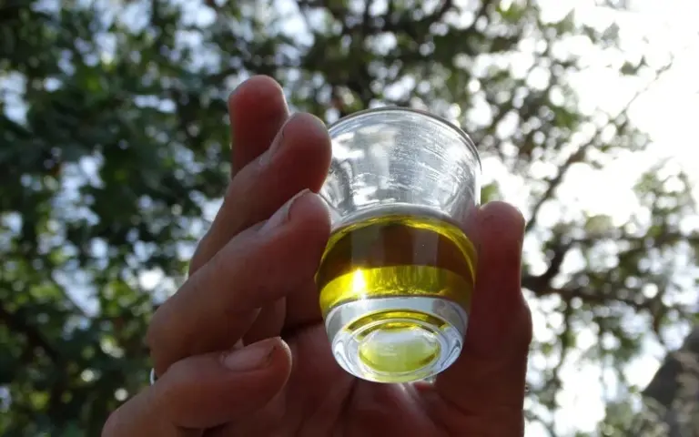 Das kretische Gold - Olivenöl