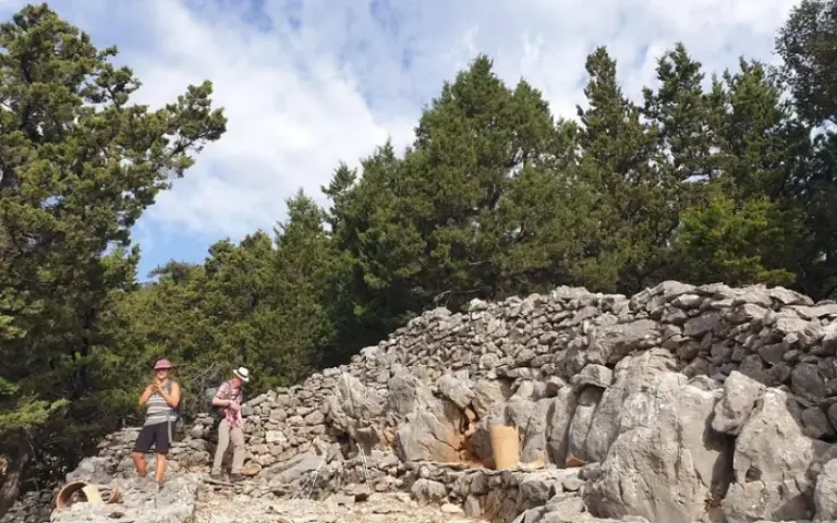 Selakano – im kretischen Wald – Wanderung mit Lisa