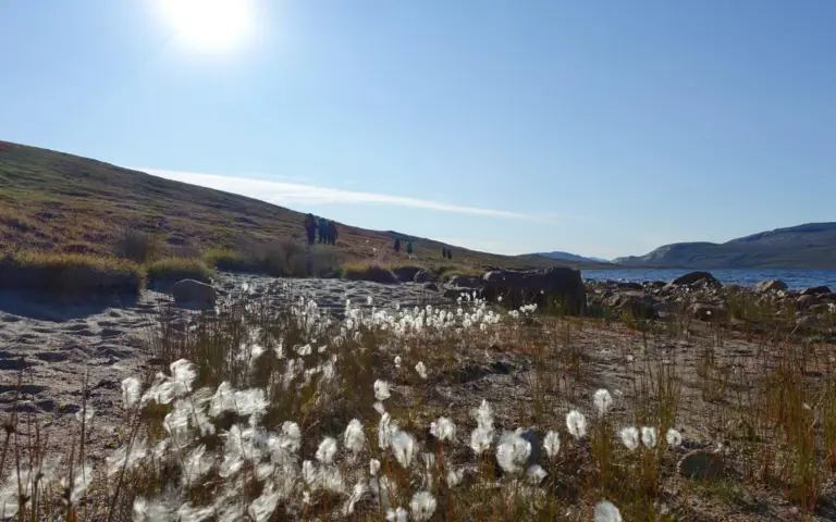Auf dem Arctic Circle Trail erkunden Sie die grandiose Natur Westgrönlands.