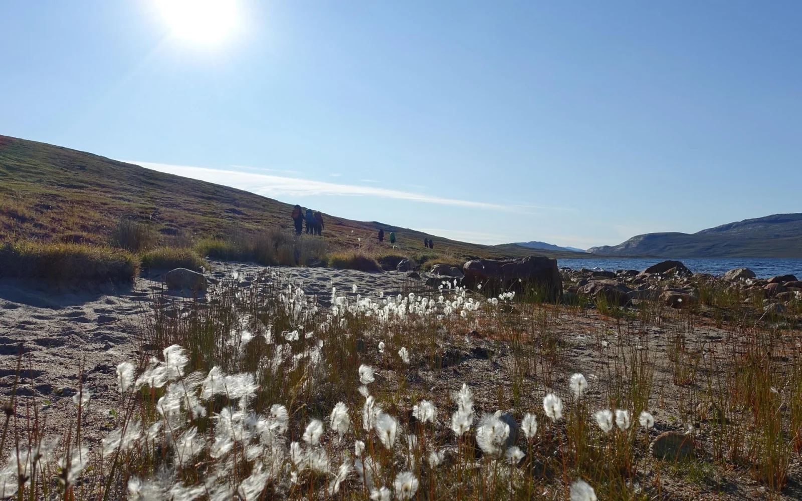 Auf dem Arctic Circle Trail erkunden Sie die grandiose Natur Westgrönlands.