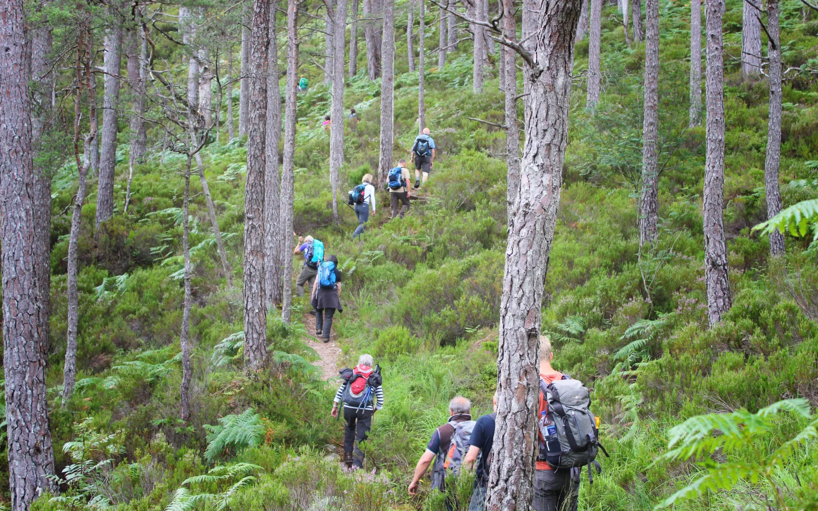 Wanderung im Beinn Eighe Naturschutzgebiet