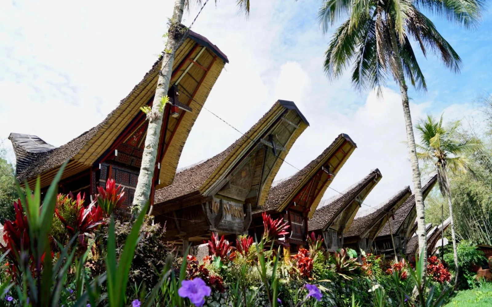 Tongkonan - die Häuser der Toraja erinnern an die Seefahrervergangenheit