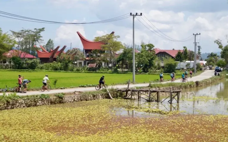 Fahrradtour durch die Dörfer und Hügel der Toraja