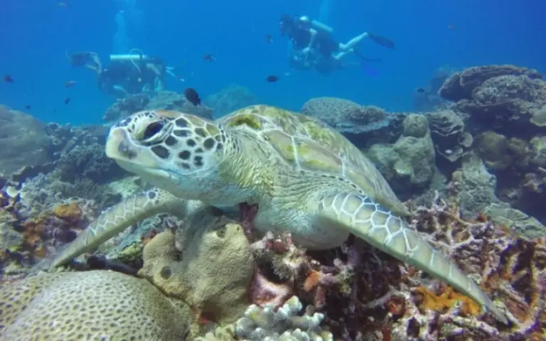 Freizeit auf Karimunjawa