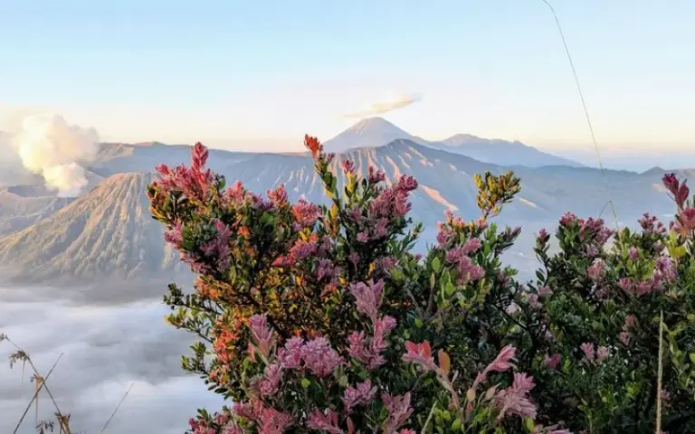 Die Umgebung von Mount Bromo und Abreise