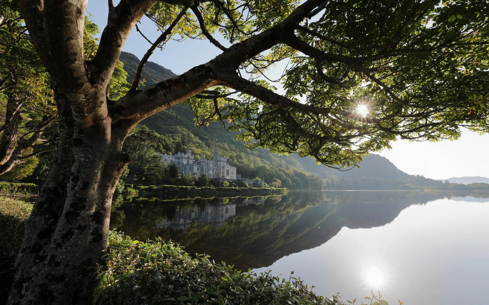 Eines der Highlights Irlands: Sie besuchen das Schloss Kylemore Abbey