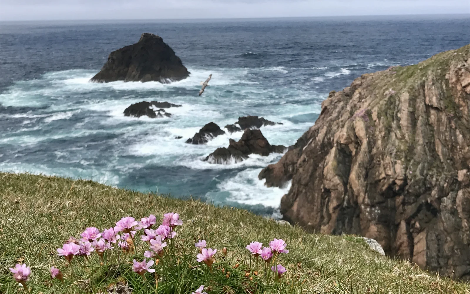 Malerische Steilklippen am Erris Head auf der Mullet Halbinsel