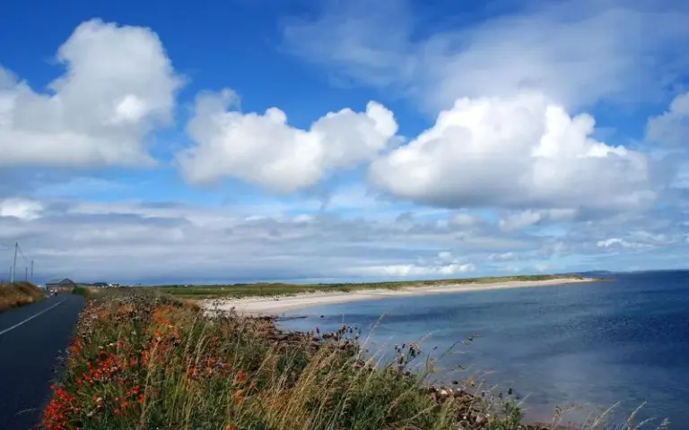 Fahrt nach Dublin und Abreise
