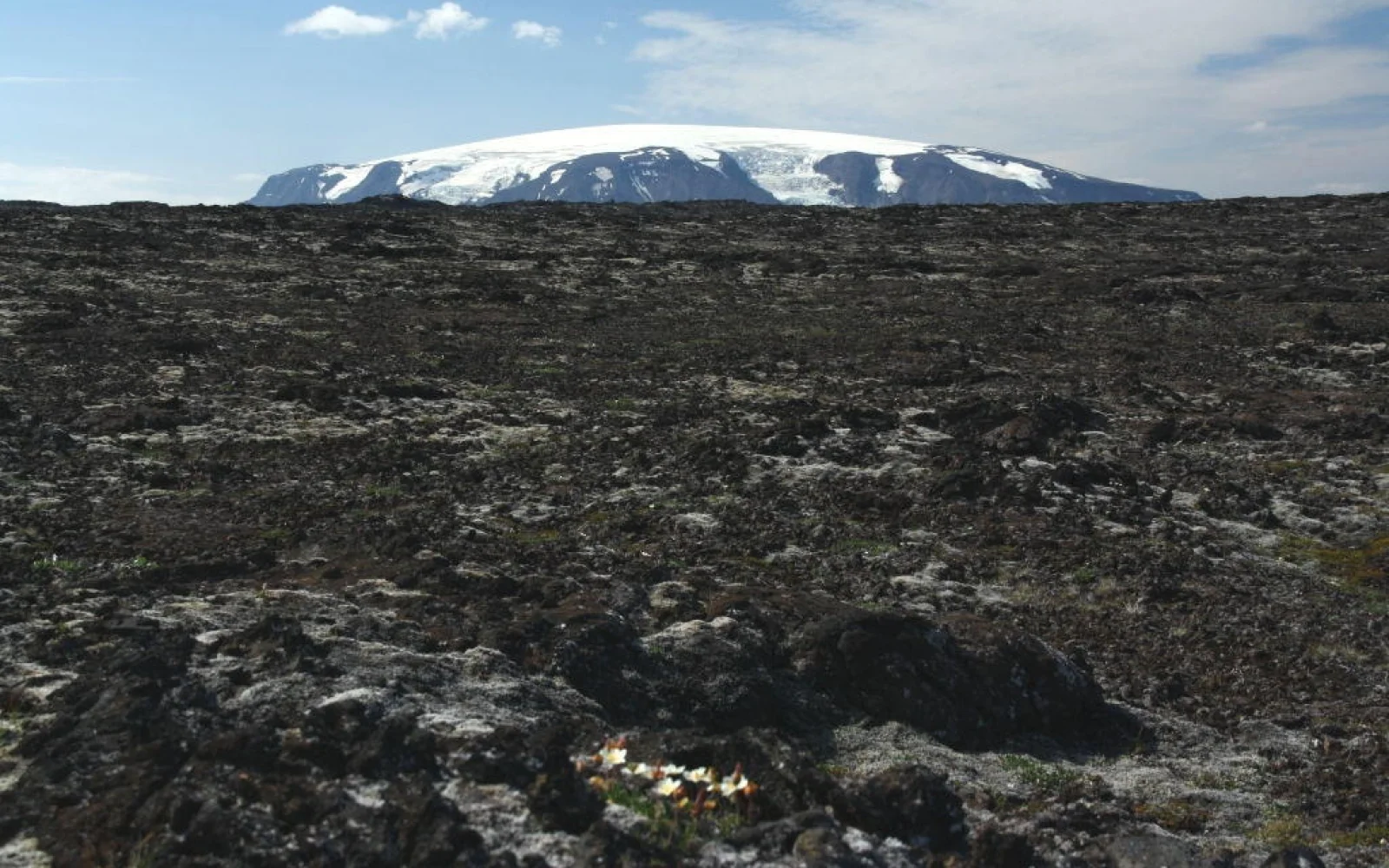 Bilder und Eindrücke, die Niemanden mehr loslassen (im Hintergrund der Eiríksjökull).