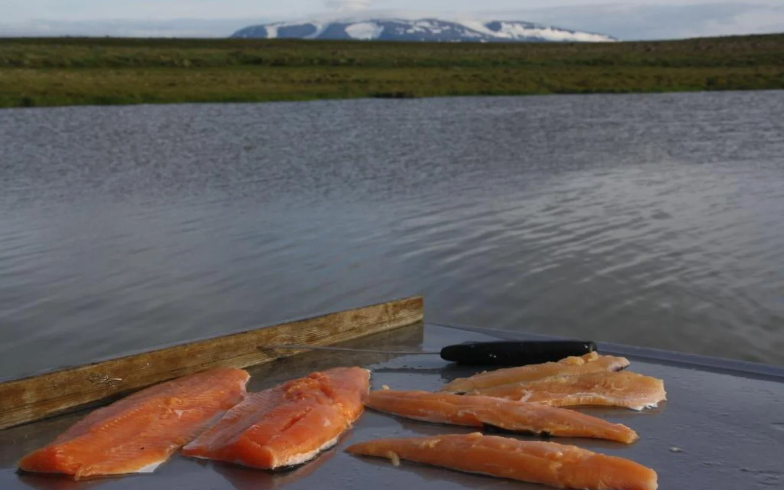 Der Guide hat fachgerecht filetiert.