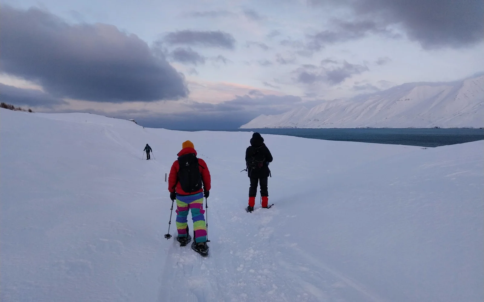 Frische Spuren im Schnee auf Hrísey
