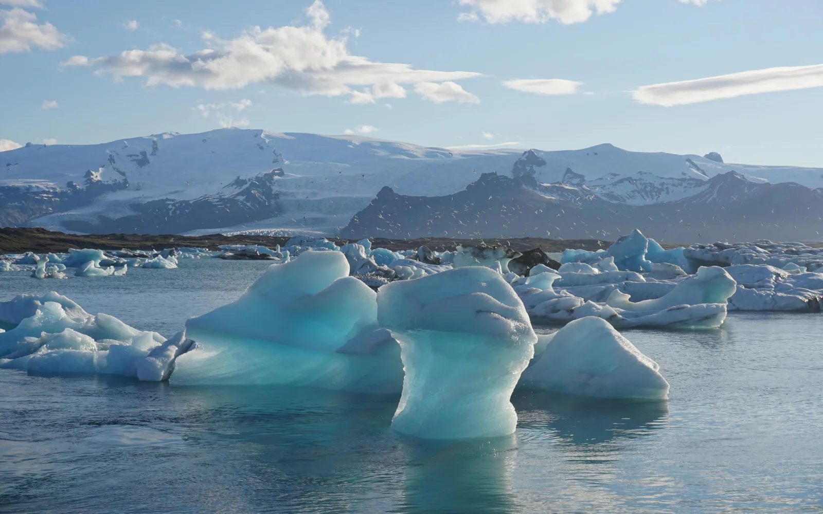 Gletscherlagune Jökulsárlón - eine Welt für sich! Von uns besucht in den ruhigeren Morgenstunden.