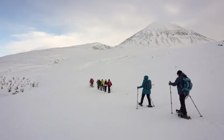 Ab in den Norden, Treffen mit Seehunden