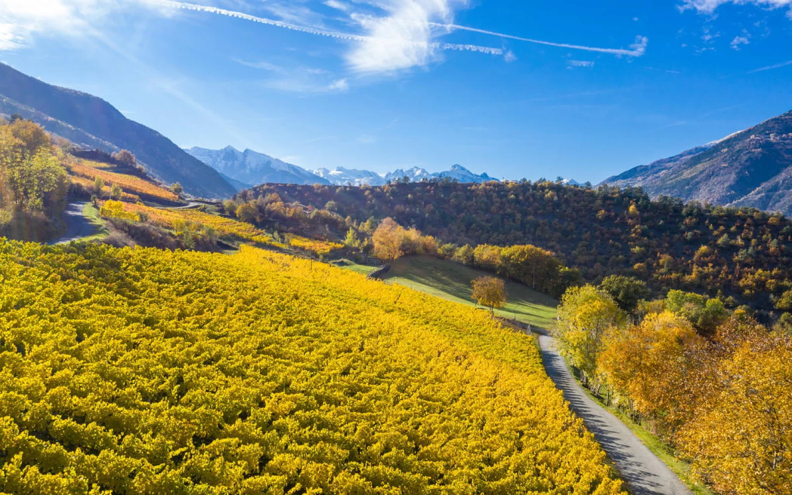 Die Weinberge auf bis zu ca. 1200 m zählen zu den höchstgelegenen der Welt