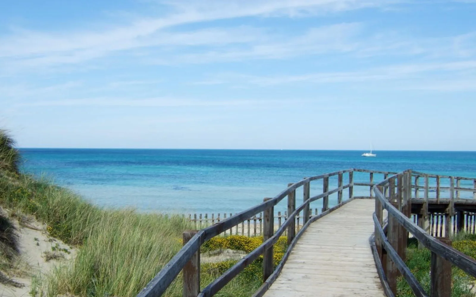 Bei einer Strandwanderung erleben Sie die naturbelassene Küste Apuliens
